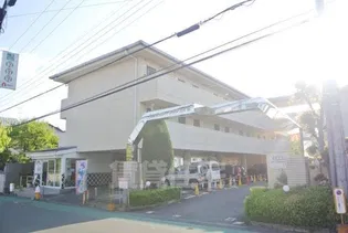 センチュリーショウエイ3の外観