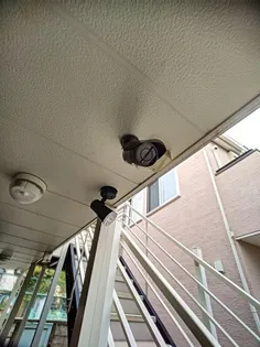 レオネクスト高橋【2階】の外観