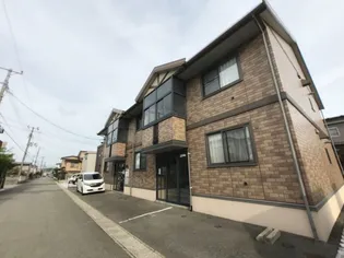 ウィルモアKの画像