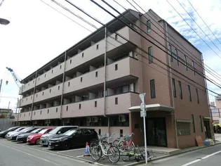 ヴィオラの画像