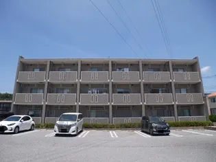 ライラック1の画像