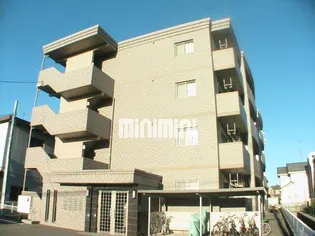 FELICE GATTO WADAの画像