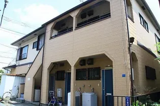 パインニードルの画像