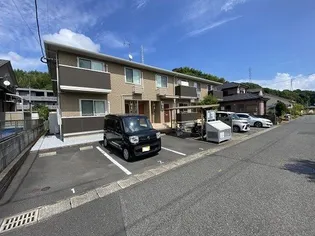 アベニール光の画像