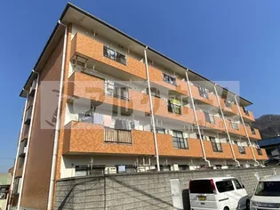 エコーハイツ2の画像