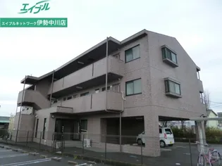 シャルムマスダIIIの画像