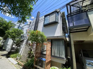 チャチャの画像