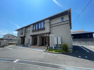 スカイフラワーの画像