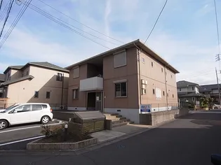 ウィルコート コガネの画像