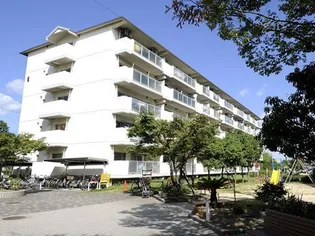 URルミエール千鳥の画像