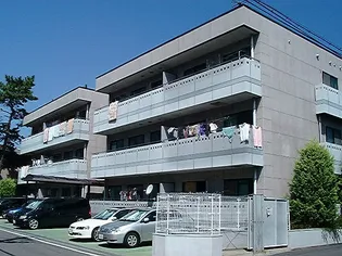 アセンブリー華の画像