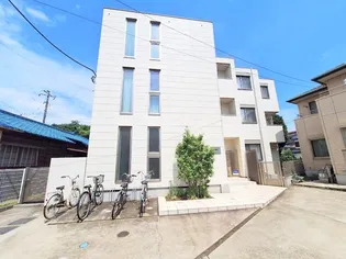 MOGGY モギィの画像