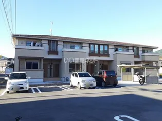 ハイマート苗木の画像