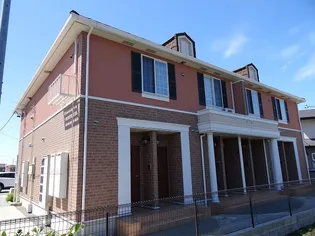 マロンツリーの画像