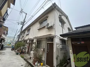 清水文化の画像