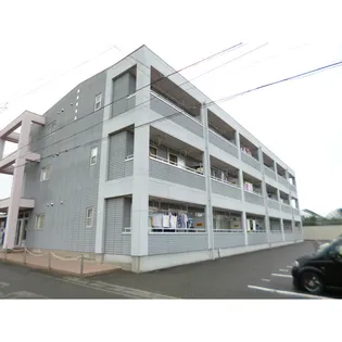 シェルティー照井の画像