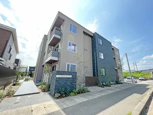 ライム グリーンの画像