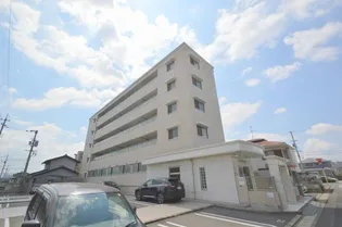 グリーンベアの画像