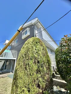 アリビオK III【2階】の外観