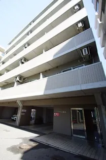 エクセル菊名の画像