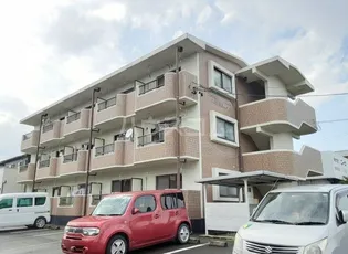 マンションやまももの木の画像