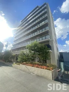 スプランディッド放出の画像