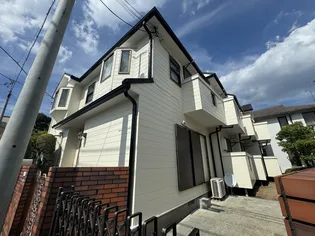 エーデルワイスの画像