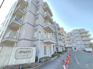 セントラル和泉の画像