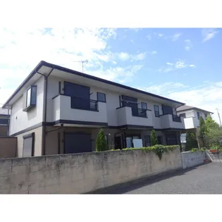 ウィンベルの画像