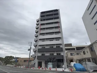 ONLYONEキセラの画像