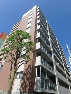 PRIMAL MACHIDAの画像