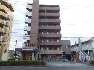 ファリーナクレオの画像