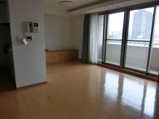 アパガーデンズ高崎駅前【8階】の居間