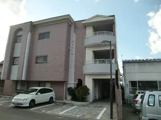 サンベールの画像