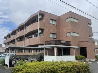 リゼールの画像