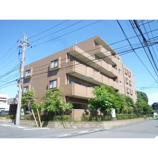 パトラルの画像