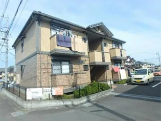 アタラクシアの画像