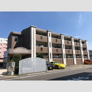 BEL FIORE Mの画像