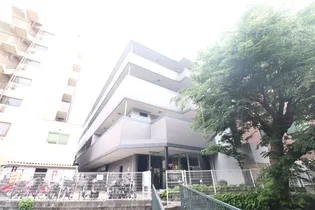 セント・ヴィラ【3階】の外観