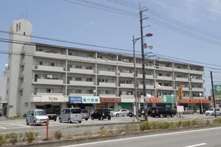 サンシャイン木村ハイツ【5階】の外観