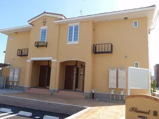 フランネルIIIの画像