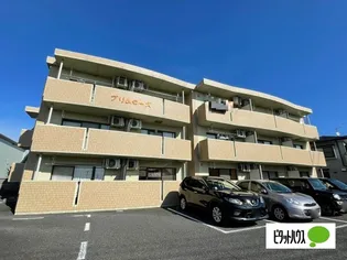 プリムローズの画像