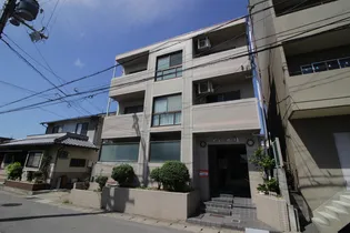 アネール桂の画像