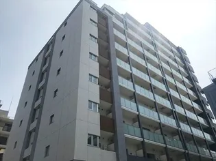 フレンシア菊川の画像