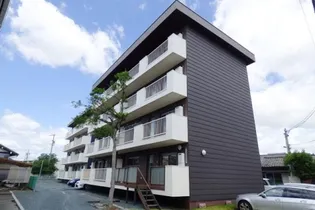 RE LUFFY EASTの画像