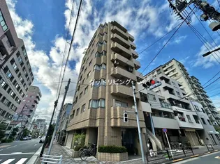エバーフォレストの画像