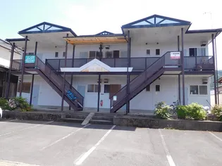 プラシードの画像