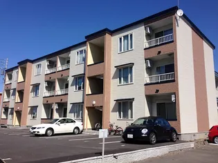 エムエル1 3の画像