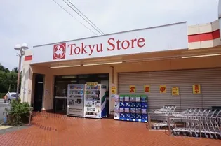 フォレストビューエコの周辺