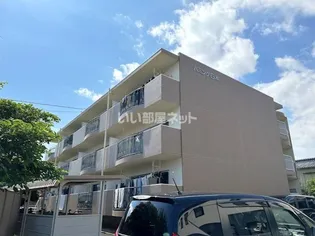 ハミング白木の画像